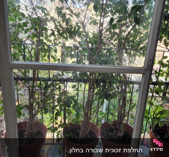 חלון הזזה מותקן עם זכוכית שקופה ומסגרת אלומיניום